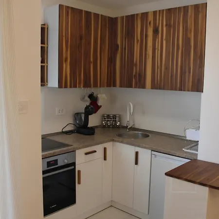 Asj Lux アパート ノヴィ・サド