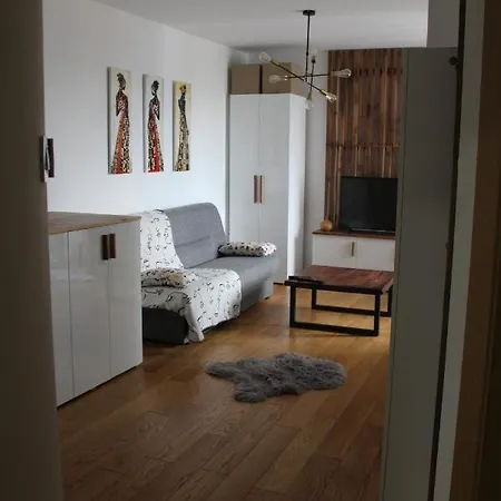 Asj Lux アパート ノヴィ・サド