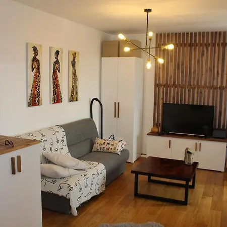 Asj Lux * ノヴィ・サド